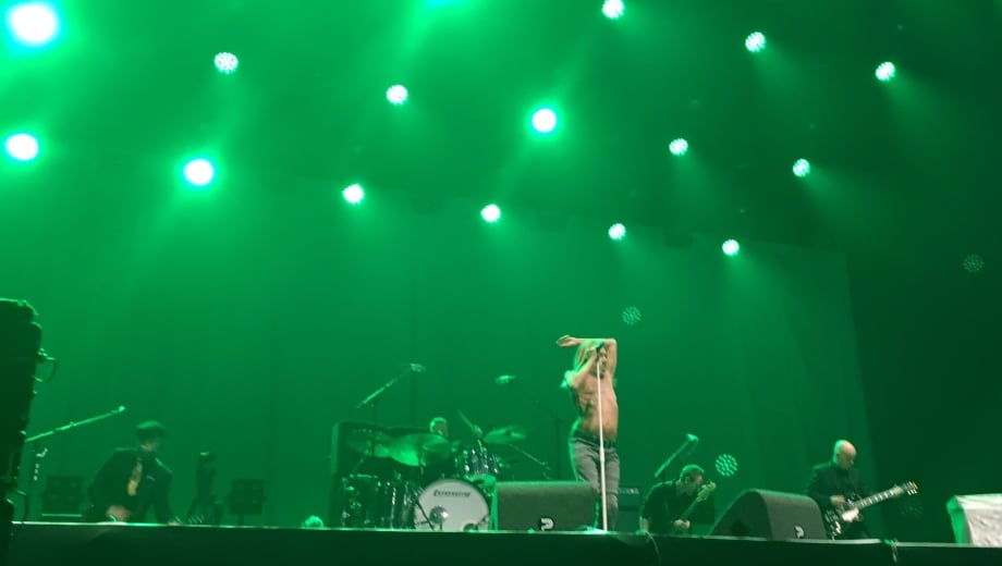 Iggy Pop in de Apollo tent