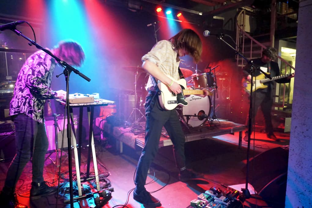 Rauwkost 2020 Dripping Trees Rauwkost 2020