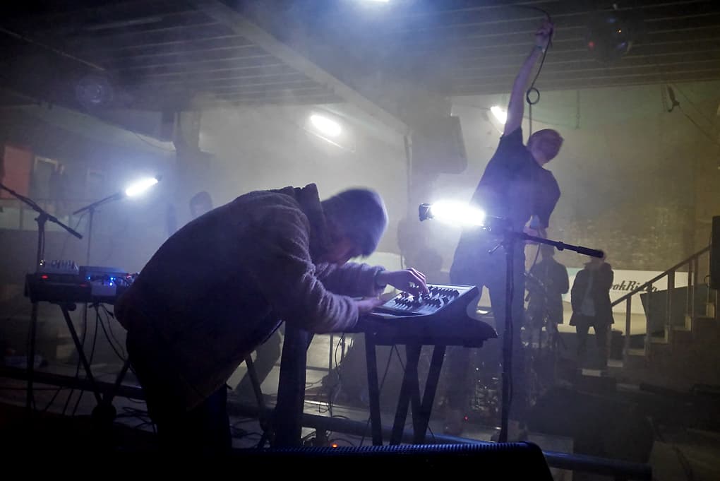 Hypochristmutreefuzz