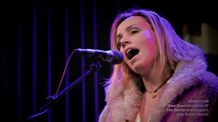 The Dashboard Danglers