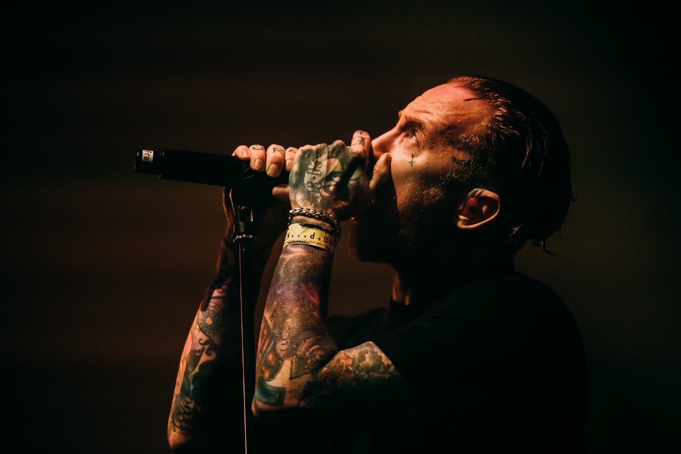 Frank Carter & The Rattlesnakes