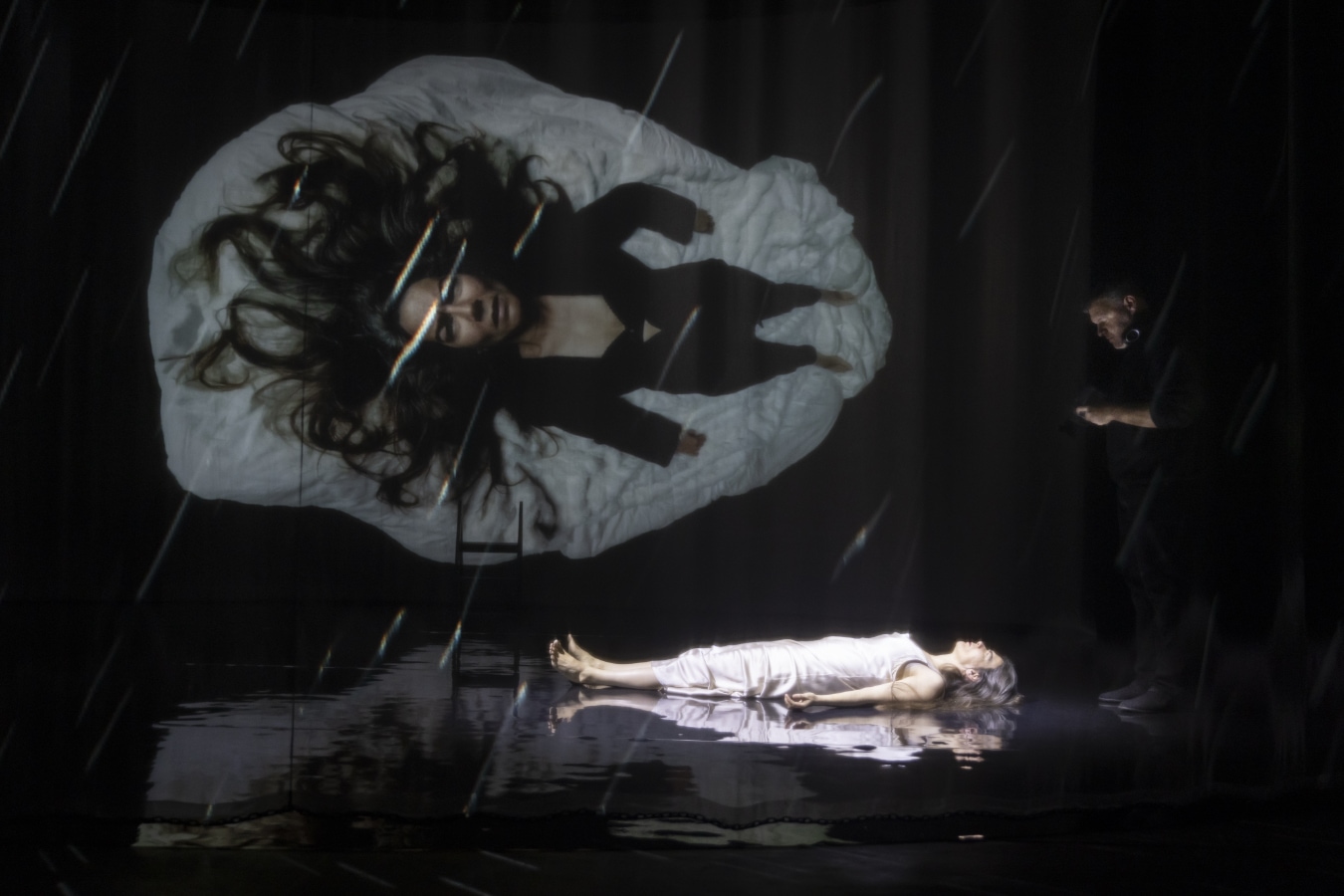 Dyane Donck Company S.A.M Dyane Donck Company